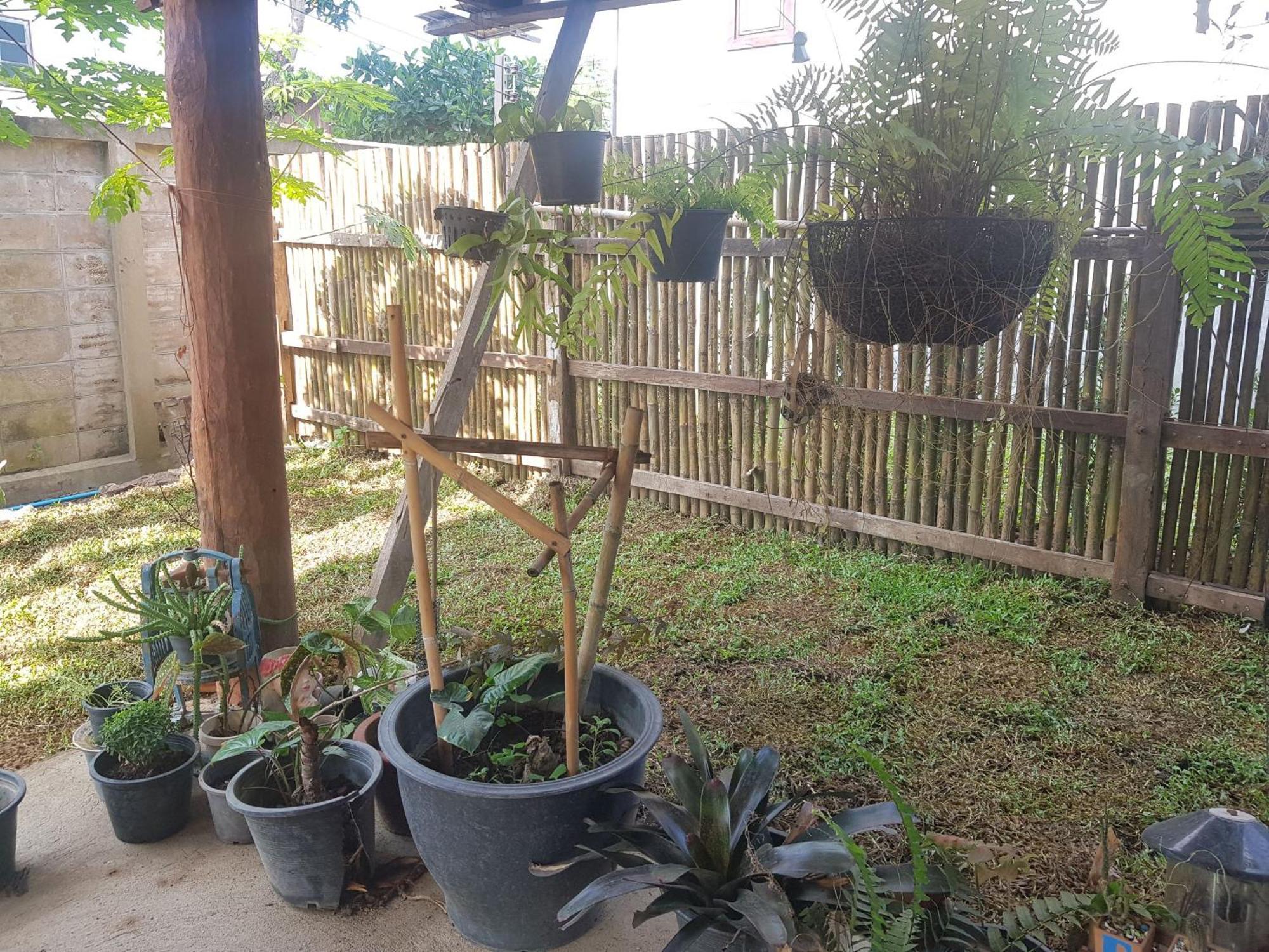Kedthawa Homestay เฮือนเก็ดถะหวา Ban Cho Lae 外观 照片