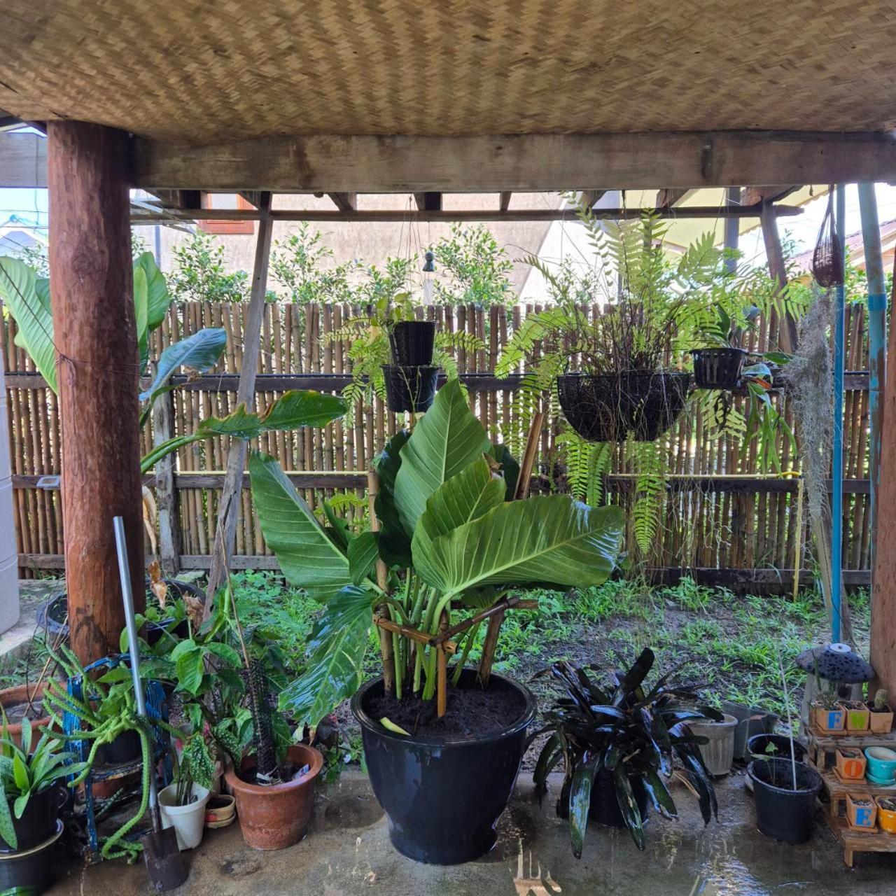 Kedthawa Homestay เฮือนเก็ดถะหวา Ban Cho Lae 外观 照片