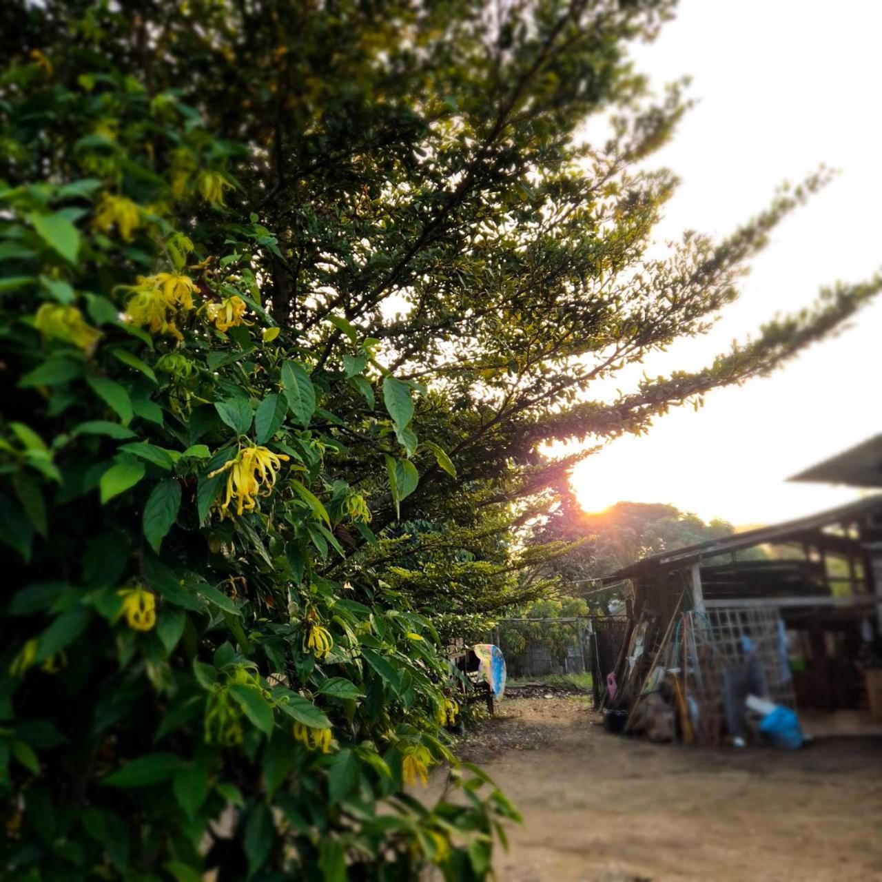 Kedthawa Homestay เฮือนเก็ดถะหวา Ban Cho Lae 外观 照片